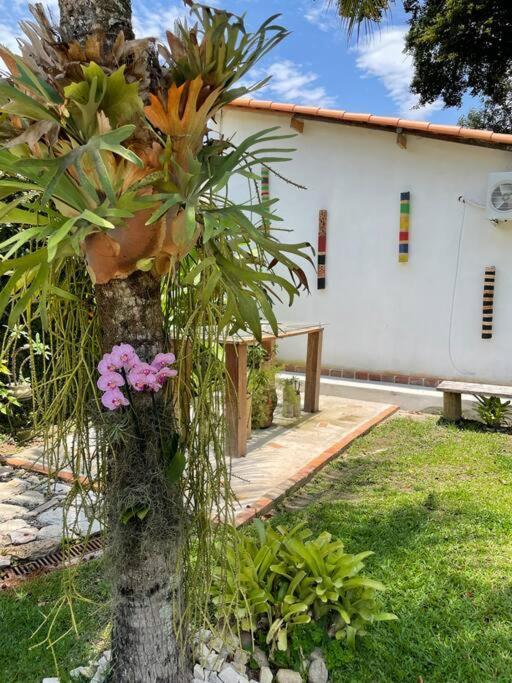 מלון ניטרוי Casa Bali 1 2 3 מראה חיצוני תמונה